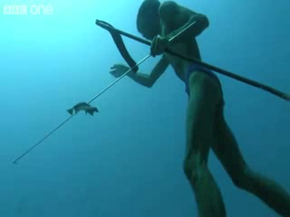 Underwater Hunter Goes Deep Sea Fishing Without Air