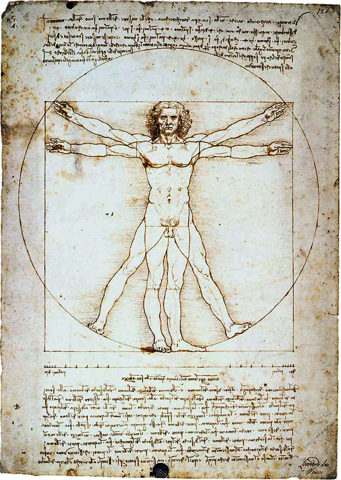 Vitruvian Man – Leonardo da Vinci