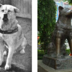 Hachiko-and-his-statue