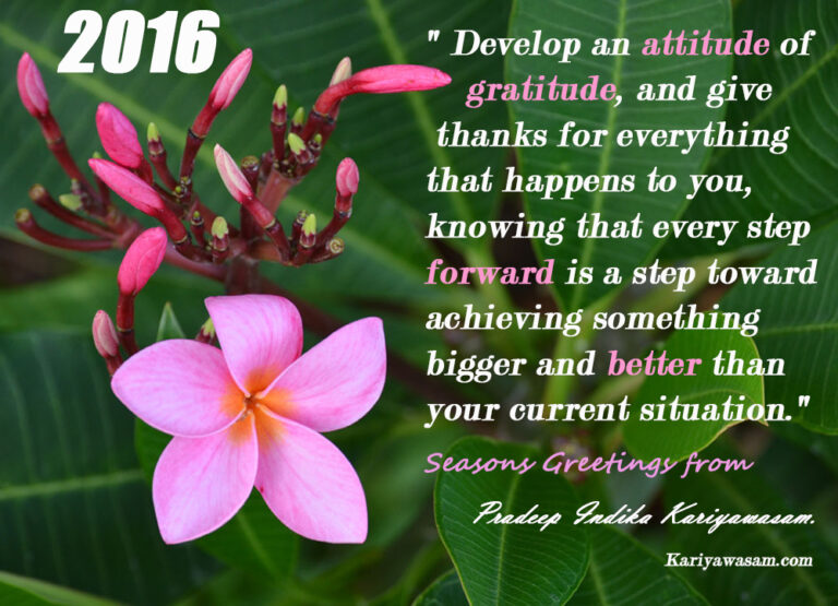 2016 : Attitude of Gratitude